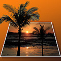 Palm Trees at Sunset