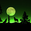 Northern Lights