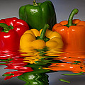 Healthy Reflections